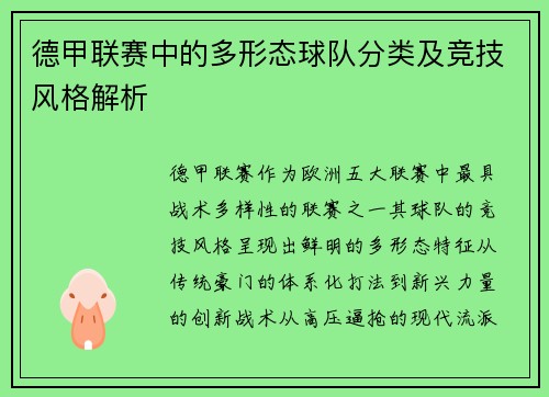 德甲联赛中的多形态球队分类及竞技风格解析